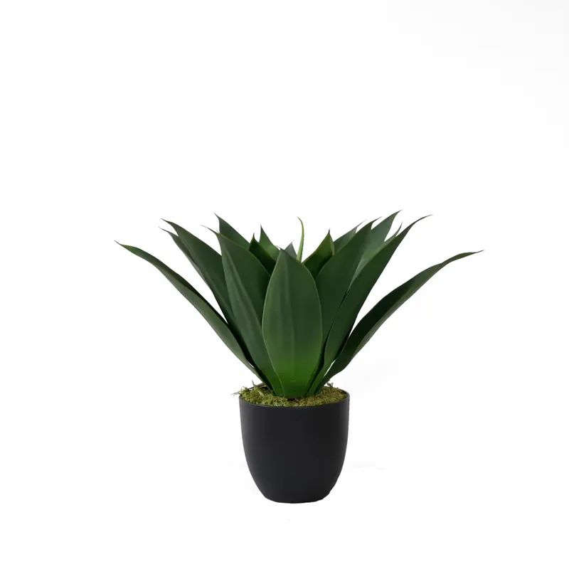 Aloe Vera Pot - 人工アロエベラ盆栽（コンダ・バーバデンシス・ミラー種）プラスチック製グリーン室内植物、盆栽鉢付き