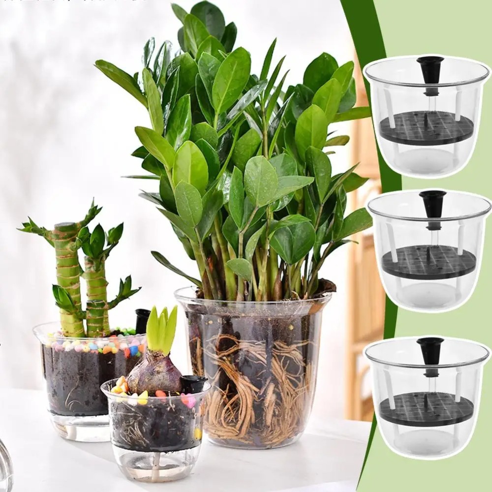 2個入り自動給水ポット、室内植物用ポット、クモ植物や蘭用の深 - Aloe Vera Pot のレビューと価格
