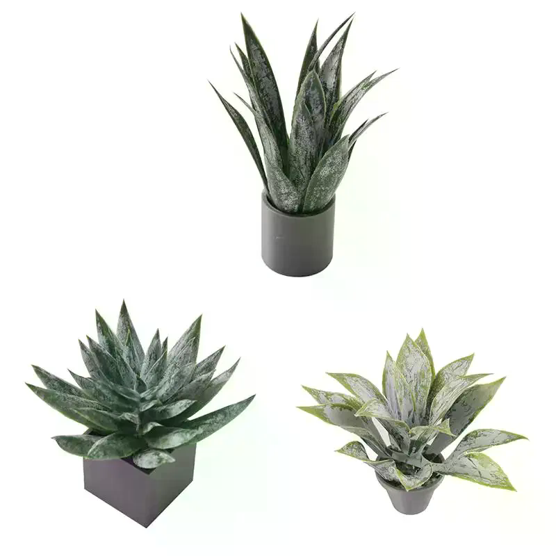 ミニチュアアロエベラ鉢植え植物オーナメント ドールハウス植物 - Aloe Vera Pot のレビューと価格