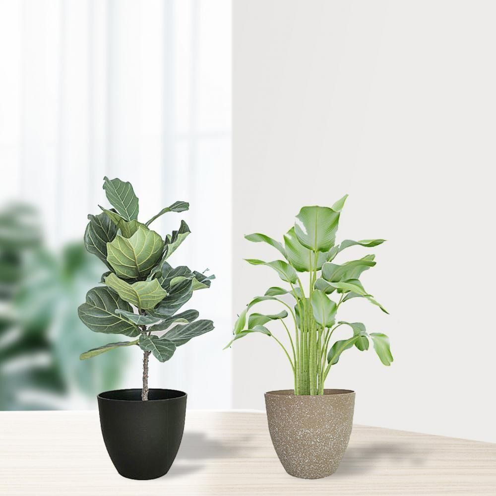 つや消し模造石フラワーポットガーデニング花緑植木鉢ヨーロッパ - Aloe Vera Pot のレビューと価格
