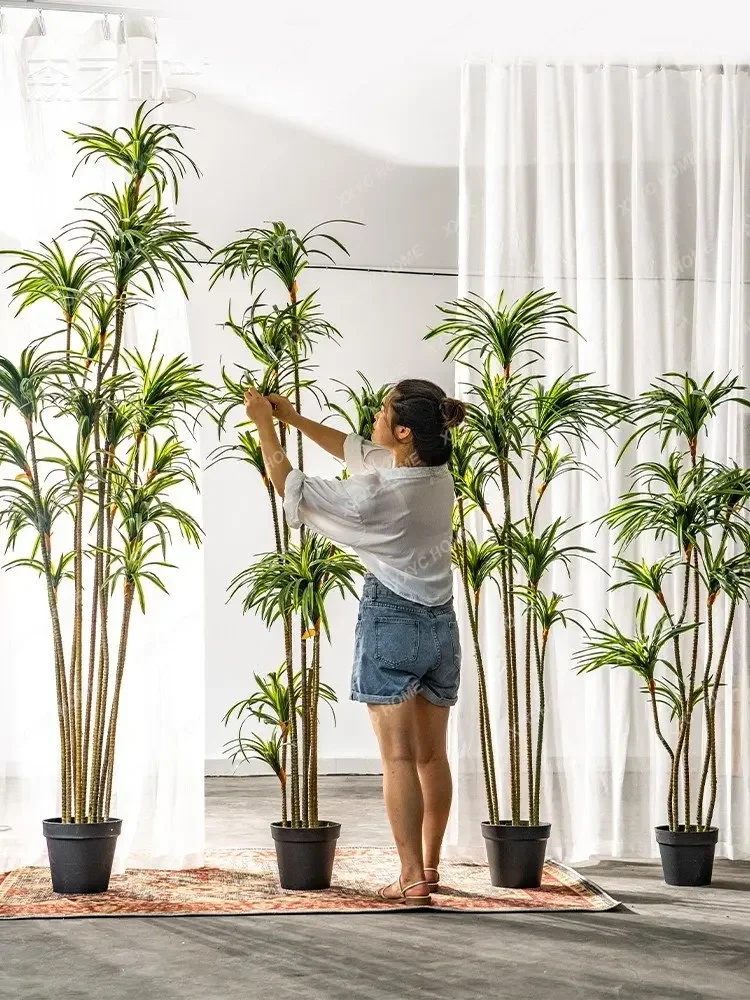 シミュレーションドラセナ ドラセナマリナータ グリーンプラン - Dracaena Marginata のレビューと価格