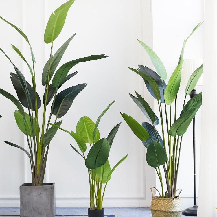 人工プラスチック製の鉢植え ​ 極楽鳥花を植える ​   ス - Bird Paradise Strelitzia のレビューと価格