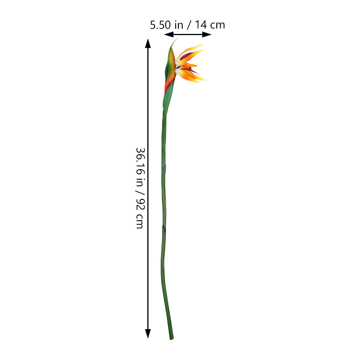 人工ストレリチア（極楽鳥花）植物、リアルタッチのフェイクスト - Bird Paradise Strelitzia のレビューと価格