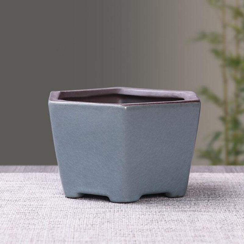 家と庭のためのレトロなセラミック植木鉢,通気性のある花瓶,盆 - Echeveria Succulent のレビューと価格