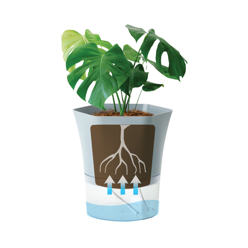 透明プラスチック自己散水植木鉢怠惰な水耕吸水植木鉢多肉植物植 - Aloe Vera Pot のレビューと価格