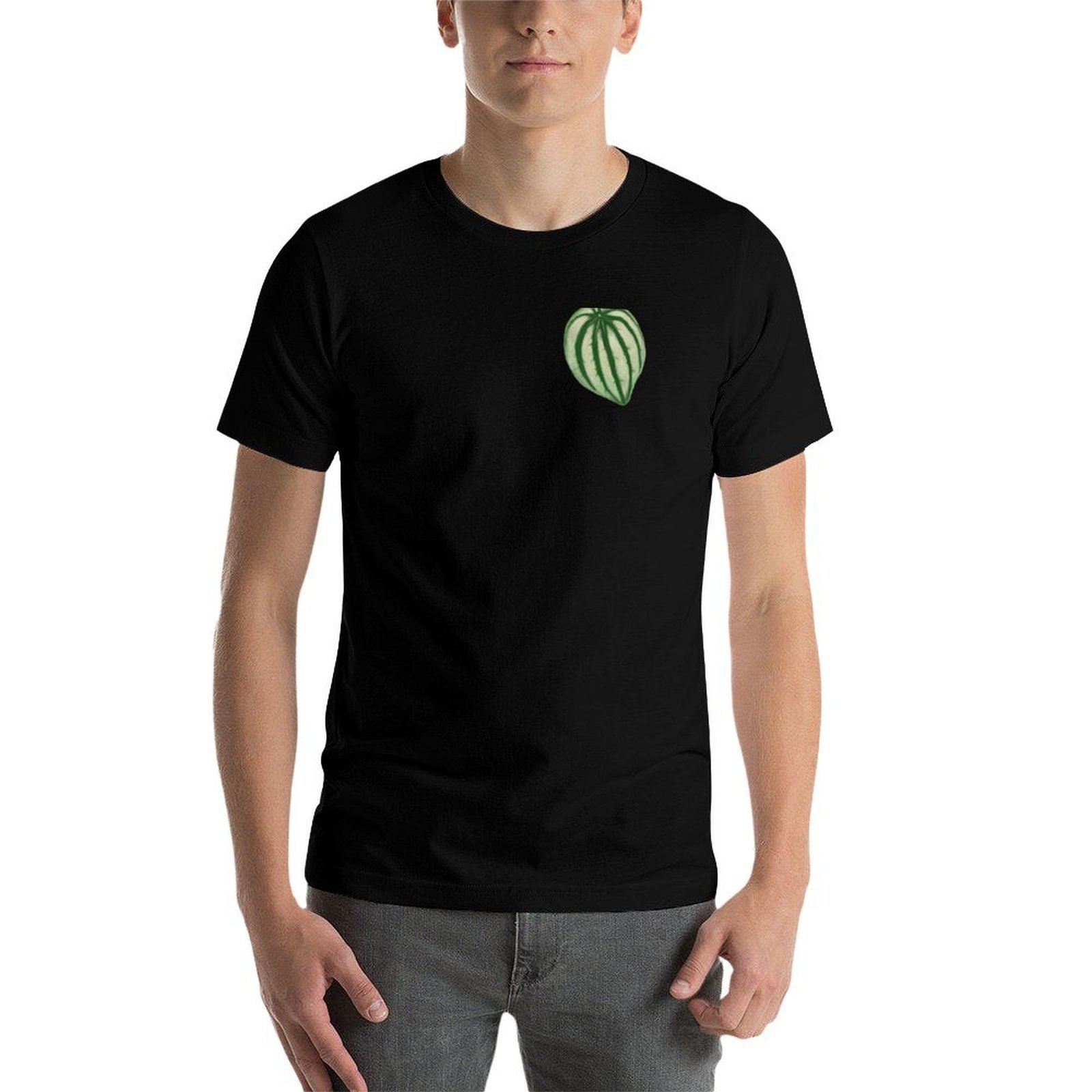ウォーターメロン ペペロミア Tシャツ ドライフィット ラン - Peperomia Watermelon のレビューと価格