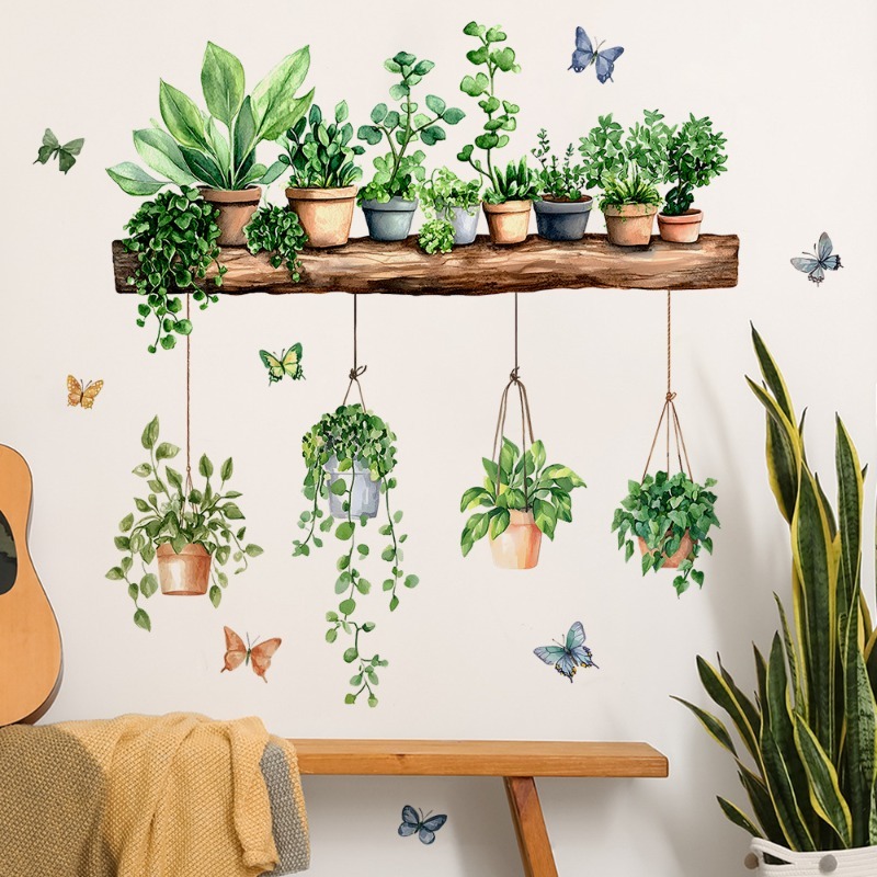 3D鉢植えの緑の植物棚ウォールデカール、緑の植物、熱帯の多肉 - Echeveria Succulent のレビューと価格
