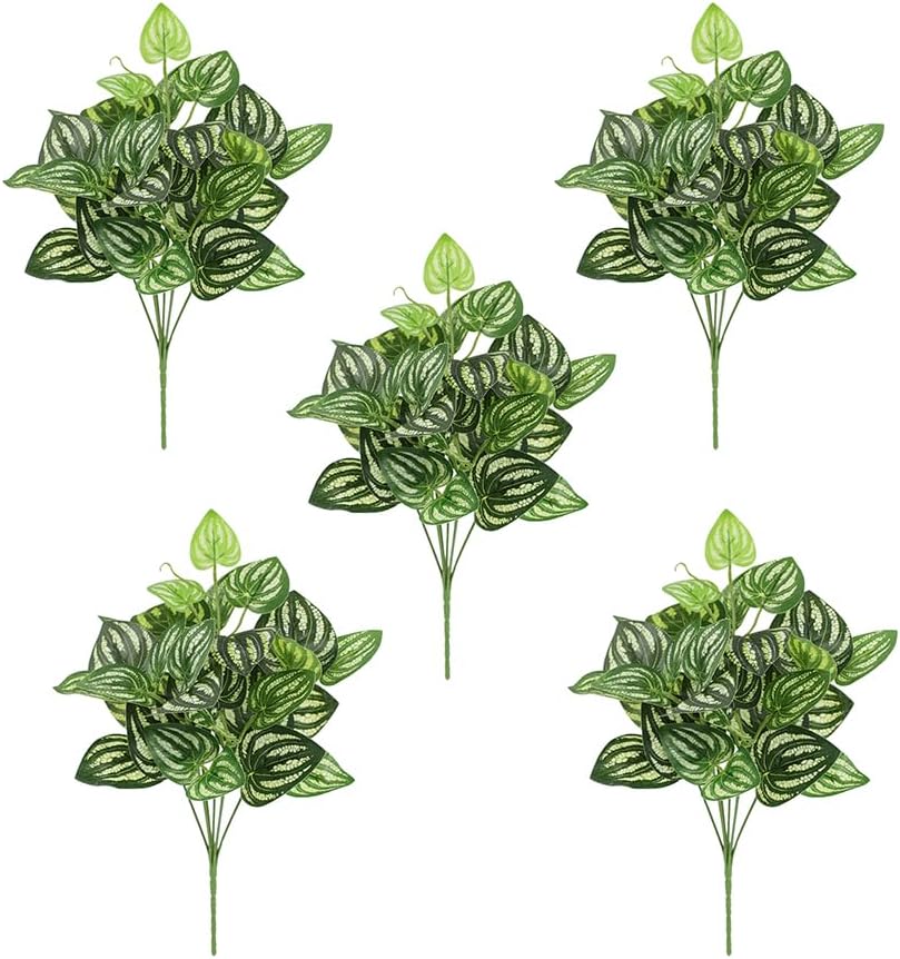 5 個スイカペペロミア人工植物 12.9 インチプラスチック - Peperomia Watermelon のレビューと価格