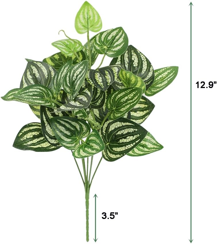 5 個スイカペペロミア人工植物 12.9 インチプラスチック - Peperomia Watermelon のレビューと価格