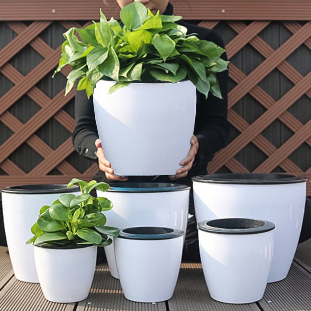 自動散水ポット、怠惰な植木鉢、模造磁器、ガーデニング鉢、家の - Aloe Vera Pot のレビューと価格