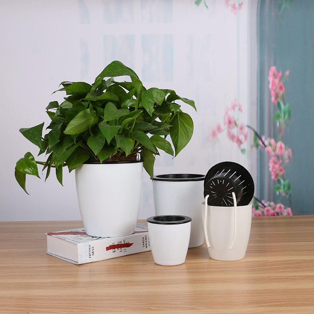自動散水ポット、怠惰な植木鉢、模造磁器、ガーデニング鉢、家の - Aloe Vera Pot のレビューと価格