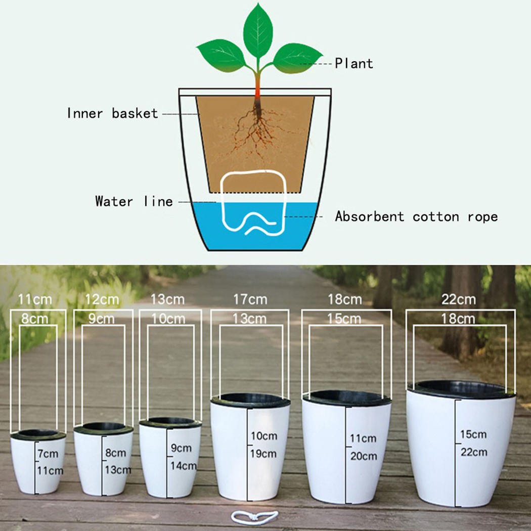 自動散水ポット、怠惰な植木鉢、模造磁器、ガーデニング鉢、家の - Aloe Vera Pot のレビューと価格
