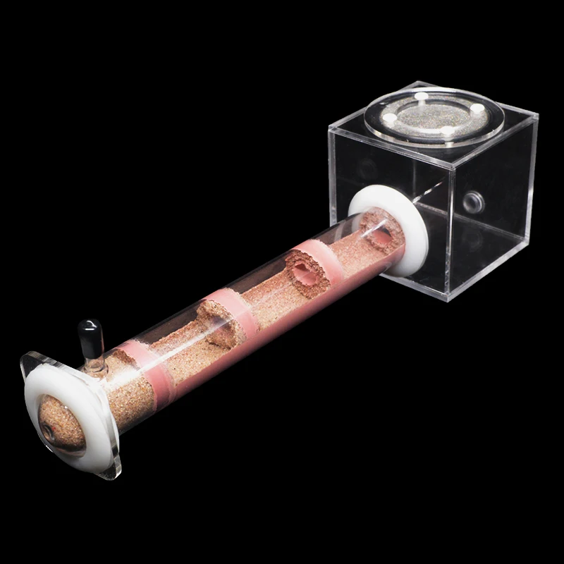 DIY様々なサイズの竹製アリの巣箱、餌やりエリア付きペット用 - Begonia Rex のレビューと価格