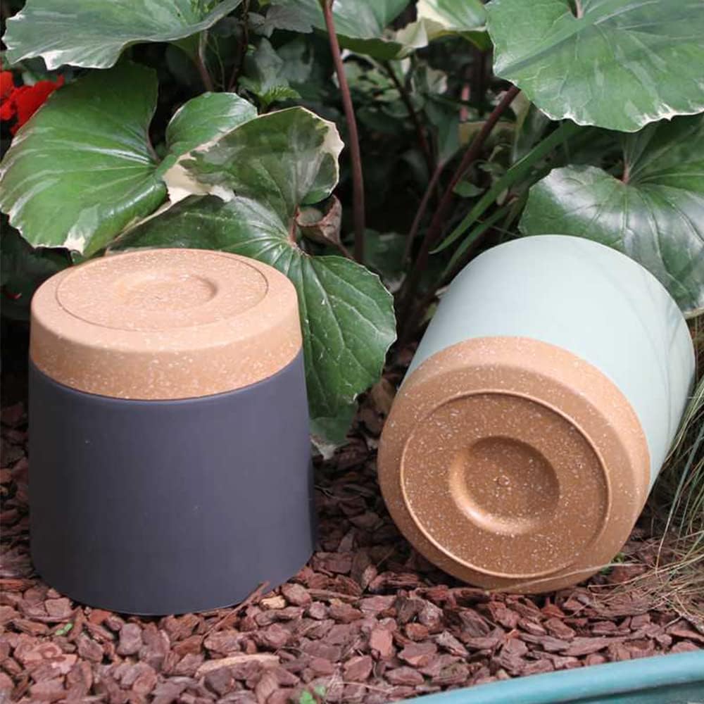 植木鉢、軽量大型鉢（室内植物・屋外植物用）、排水機能付き大型 - Aloe Vera Pot のレビューと価格