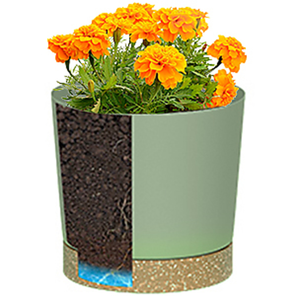 植木鉢、軽量大型鉢（室内植物・屋外植物用）、排水機能付き大型 - Aloe Vera Pot のレビューと価格