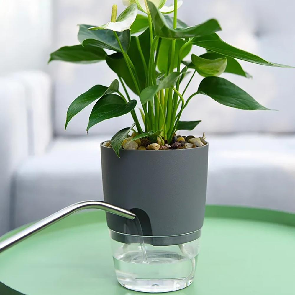 透明二重層プラスチック植木鉢自己散水植木鉢綿ロープ散水植木鉢 - Aloe Vera Pot のレビューと価格